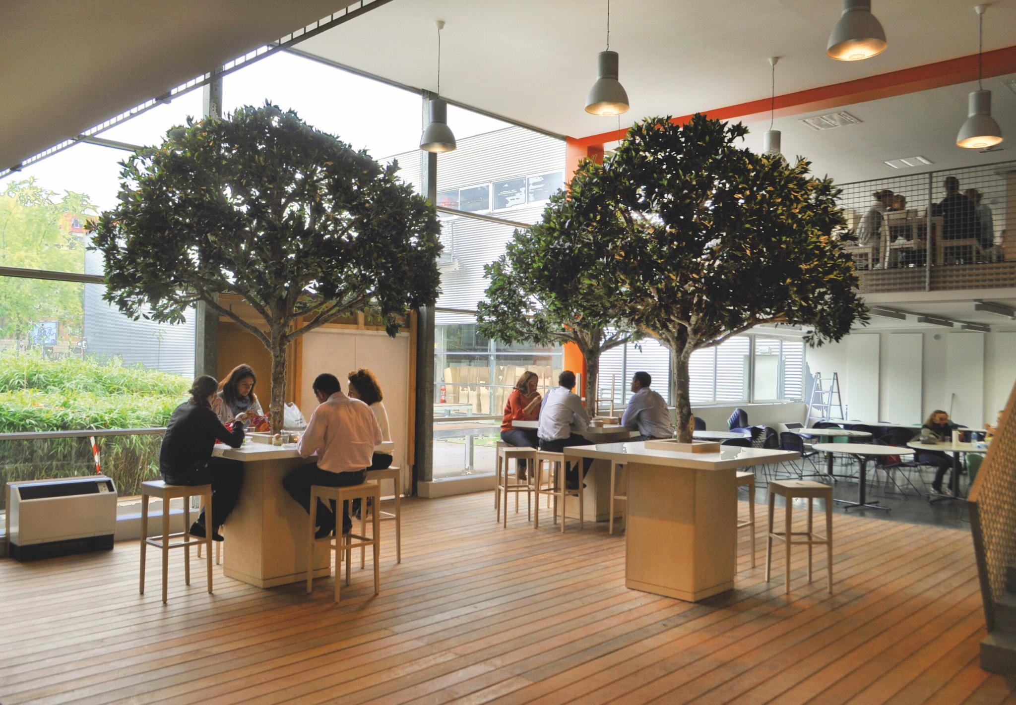 Paysages d’intérieur