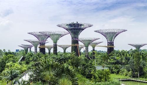 Créer de la valeur grâce au verdissement