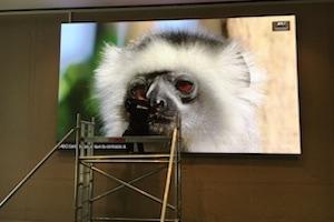 ev-corp-a-paris-longchamp