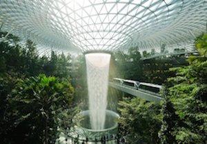 Les espaces verts urbains ont sauvé 22 000 vies en 2023