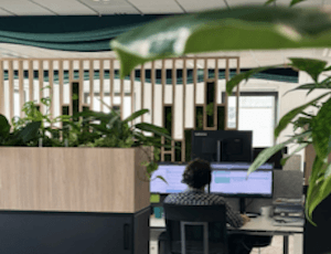 la-biophilie-sinvite-au-coeur-de-votre-entreprise