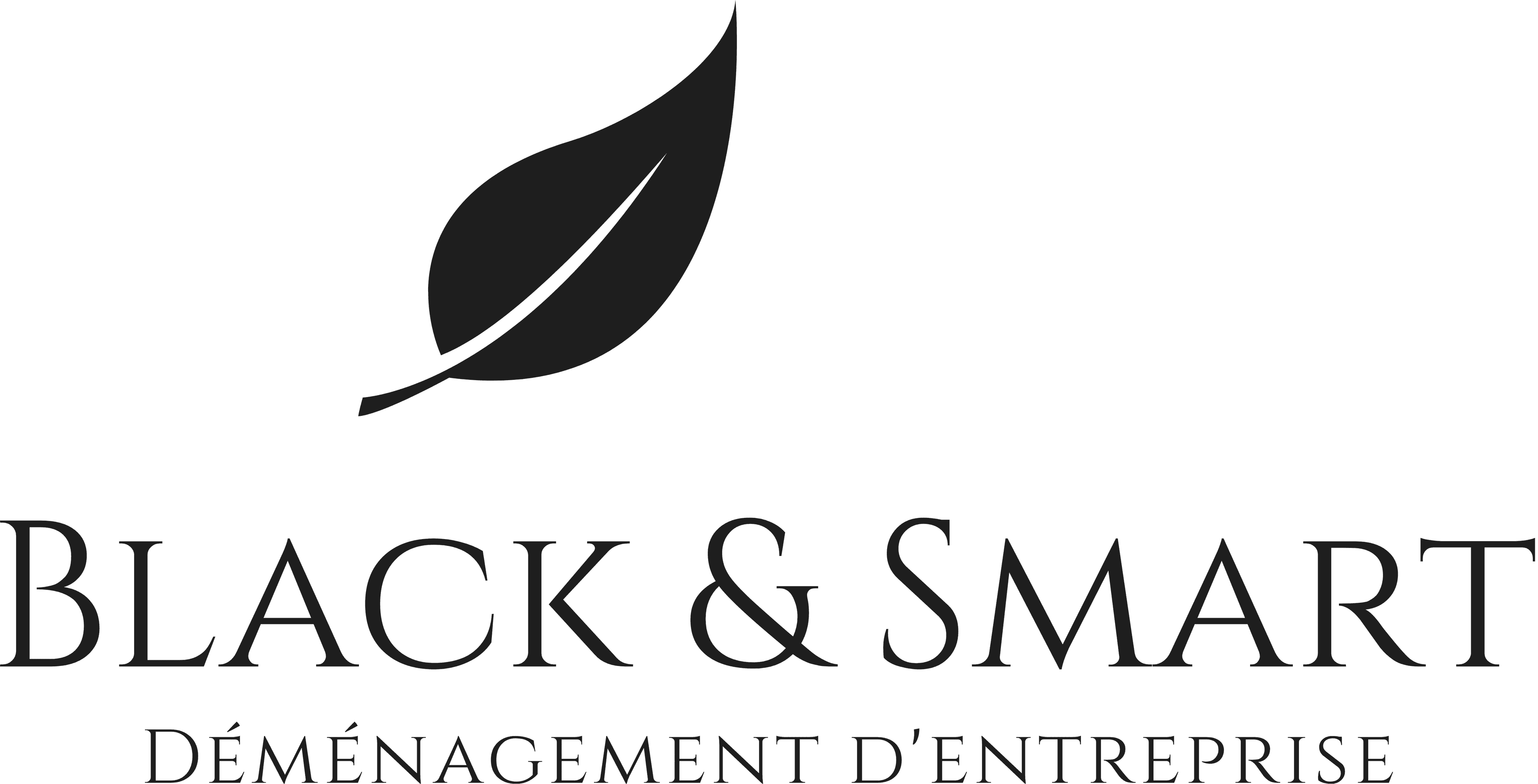 logo BLACK & SMART