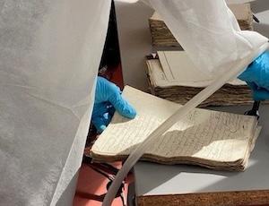 i2t-expert-en-traitement-documentaire-aupres-des-services-archives