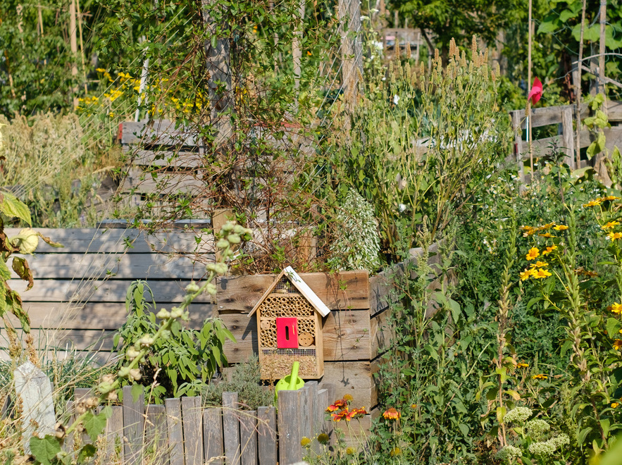 L’abeille qui cache la forêt - Facilities, site du Facility management