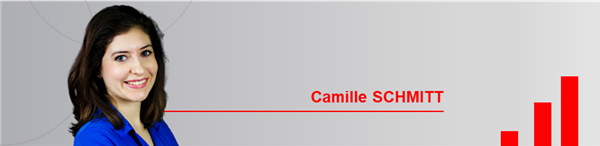 Camille Schmitt - Facilities, site du Facility management