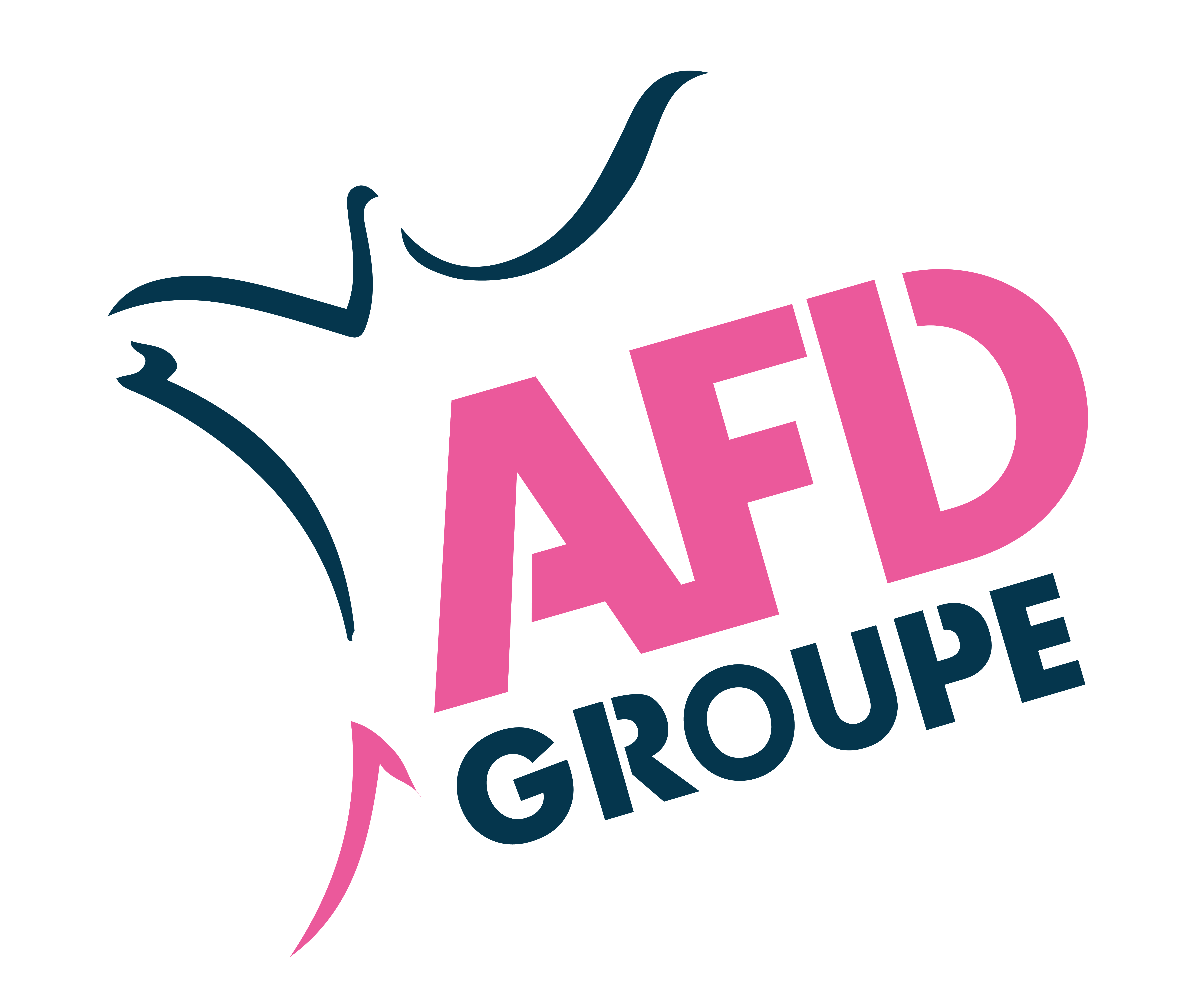 Logo de AFD GROUPE