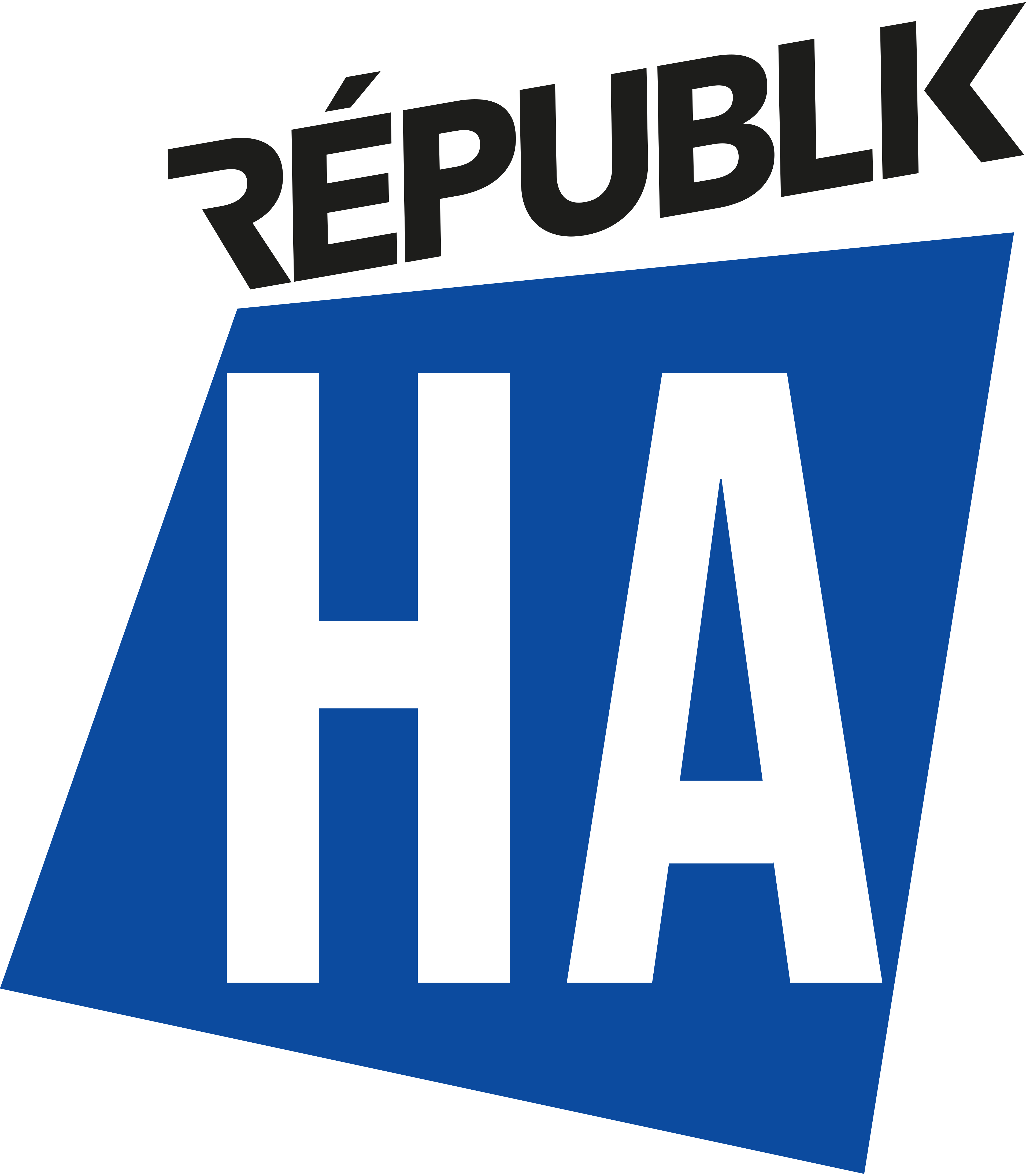 Logo de RÉPUBLIK ACHATS